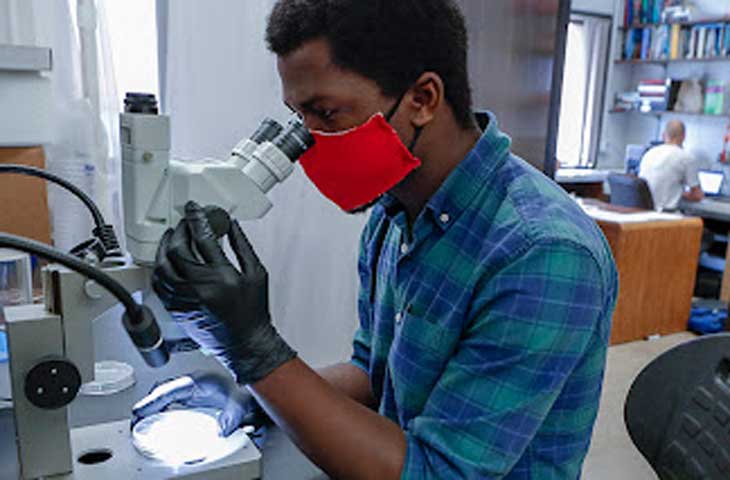 health researcher in lab